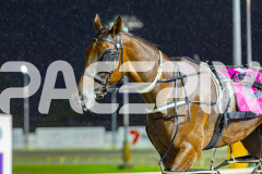 2026_PACEPIX_GP27032026_RACE4_DelightfulPeg_WIN_WEB-2