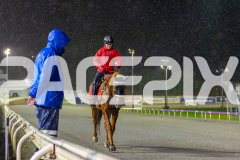 2026_PACEPIX_GP27032026_RACE4_DelightfulPeg_WIN_WEB-39