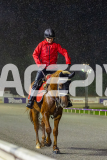 2026_PACEPIX_GP27032026_RACE4_DelightfulPeg_WIN_WEB-40