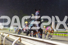 2026_PACEPIX_GP27032026_RACE4_DelightfulPeg_WIN_WEB-9