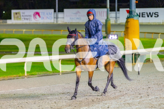 2026_PACEPIX_GP27032026_RACE5_Justcallmemiki_WIN_WEB-10