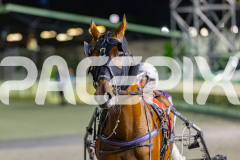 2026_PACEPIX_GP27032026_RACE6FrancoMotu_WIN_WEB-3
