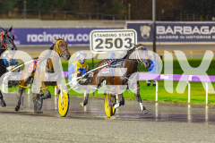 2026_PACEPIX_GP27032026_RACE4_DelightfulPeg_WIN_WEB-18