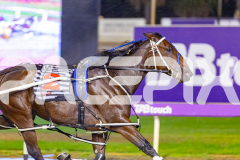 2026_PACEPIX_GP27032026_RACE4_DelightfulPeg_WIN_WEB-22