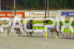 2026_PACEPIX_GP27032026_RACE4_DelightfulPeg_WIN_WEB-30