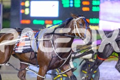 2026_PACEPIX_GP27032026_RACE4_DelightfulPeg_WIN_WEB-45