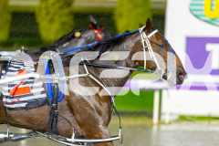 2026_PACEPIX_GP27032026_RACE4_DelightfulPeg_WIN_WEB-46