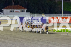 2026_PACEPIX_GP12062026_RACE2_FinalCollect_WIN_WEB-1