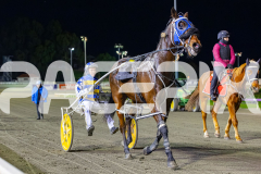 2026_PACEPIX_GP12062026_RACE2_FinalCollect_WIN_WEB-18