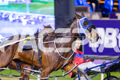 2026_PACEPIX_GP12062026_RACE2_FinalCollect_WIN_WEB-3