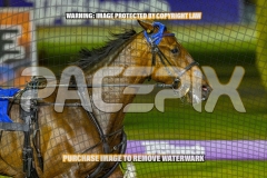 2026_Pacepix_GP23102026_Race5_MadMonday_WIN_WEB-5