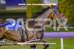 2026_Pacepix_GP23102026_Race5_MadMonday_WIN_WEB-9