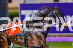 2026_PACEPIX_GP29052026_RACE6_LochTay_WIN_WEB-5
