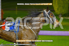 2026_PACEPIX_GP28082026_Race5_SweetPins_WIN_WEB-13
