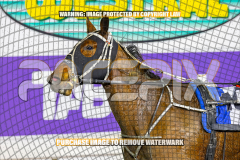 2026_PACEPIX_GP28082026_Race5_SweetPins_WIN_WEB-15