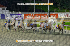 2026_PACEPIX_GP28082026_Race5_SweetPins_WIN_WEB-3