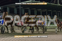 2026_PACEPIX_GP28082026_Race5_SweetPins_WIN_WEB-7