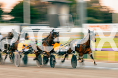RACE 4 - Nutbush Girl