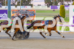 2025_PACEPIX_GP07102025_RACE4_NutbushGirl_WIN_WEB-10