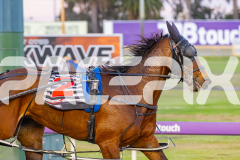 2025_PACEPIX_GP07102025_RACE4_NutbushGirl_WIN_WEB-13