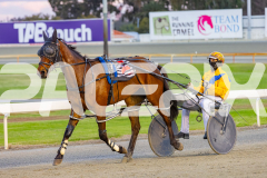 2025_PACEPIX_GP07102025_RACE4_NutbushGirl_WIN_WEB-14