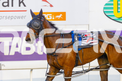 2025_PACEPIX_GP07102025_RACE4_NutbushGirl_WIN_WEB-15
