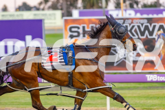 2025_PACEPIX_GP07102025_RACE4_NutbushGirl_WIN_WEB-2