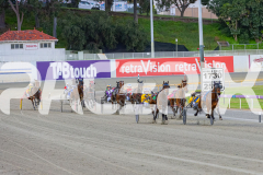 2025_PACEPIX_GP07102025_RACE4_NutbushGirl_WIN_WEB-6