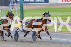 2025_PACEPIX_GP07102025_RACE4_NutbushGirl_WIN_WEB-7