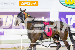 2026_PACEPIX_GP02012026_RACE9_EclipseLine_WIN_WEB-11