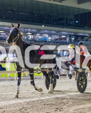 2026_PACEPIX_GP02012026_RACE9_EclipseLine_WIN_WEB-18