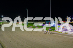 2025_PACEPIX_GP25042025_PT2_WIN_WEB-50