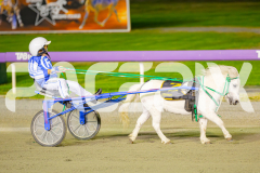 2025_PACEPIX_GP25042025_PT1_WIN_WEB-18