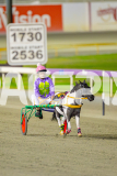 2025_PACEPIX_GP25042025_PT1_WIN_WEB-2