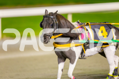 2025_PACEPIX_GP25042025_PT1_WIN_WEB-23