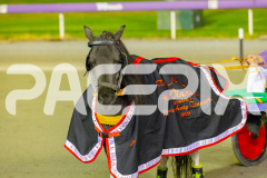 2025_PACEPIX_GP25042025_PT1_WIN_WEB-26