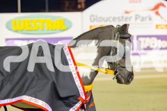 2025_PACEPIX_GP25042025_PT1_WIN_WEB-28
