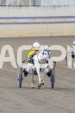 2026_Pacepix_GP17042026_PonyTrot1_WEB-10