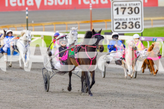 2026_Pacepix_GP17042026_PonyTrot1_WEB-13