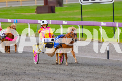 2026_Pacepix_GP17042026_PonyTrot1_WEB-15