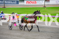 2026_Pacepix_GP17042026_PonyTrot1_WEB-25