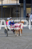 2026_Pacepix_GP17042026_PonyTrot1_WEB-26