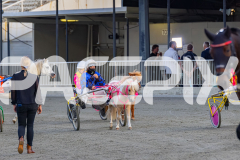 2026_Pacepix_GP17042026_PonyTrot1_WEB-27