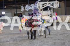2026_Pacepix_GP17042026_PonyTrot1_WEB-28
