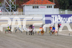 2026_Pacepix_GP17042026_PonyTrot1_WEB-3