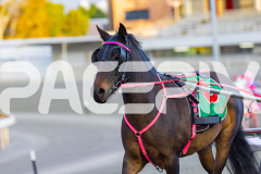 2026_Pacepix_GP17042026_PonyTrot1_WEB-31
