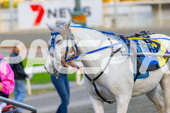 2026_Pacepix_GP17042026_PonyTrot1_WEB-35