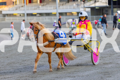 2026_Pacepix_GP17042026_PonyTrot1_WEB-37