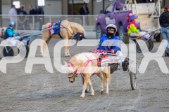2026_Pacepix_GP17042026_PonyTrot1_WEB-40