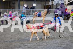2026_Pacepix_GP17042026_PonyTrot1_WEB-41
